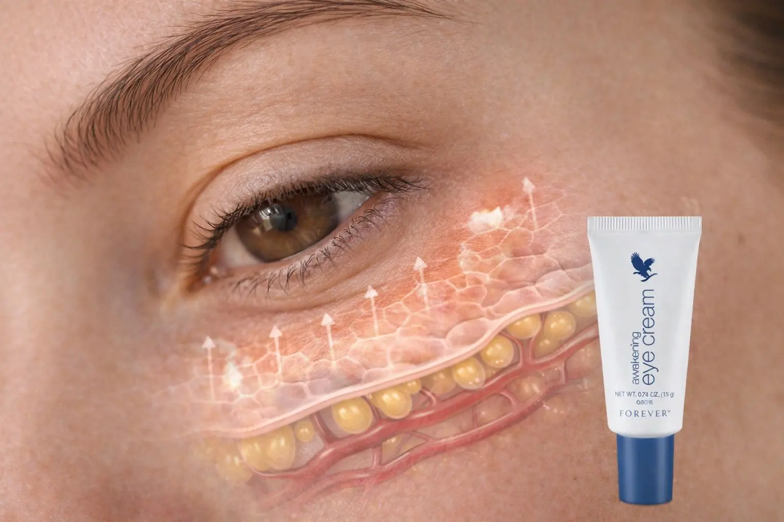 Awakening Eye Cream – doplňková fotografie