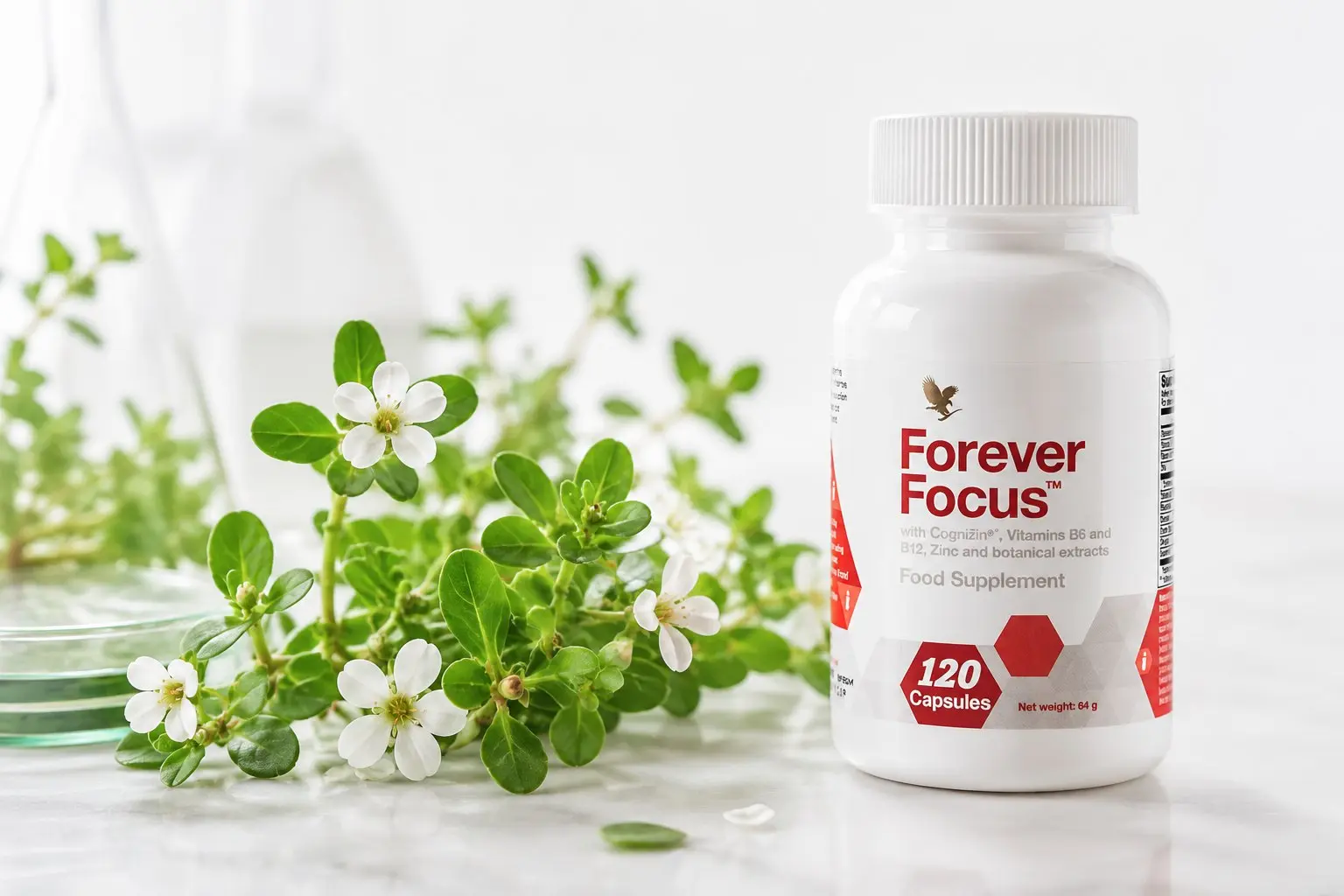 Forever Focus v mentálně náročné pracovní rutině
